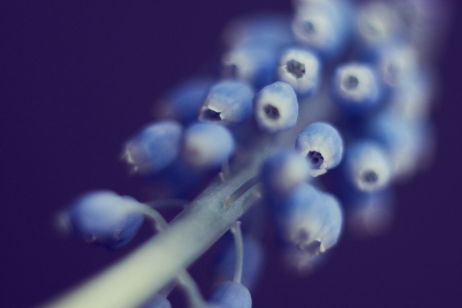 673开奖号前后走势分析及预测技巧详解