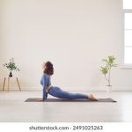 6加1开奖时间最新公告及结果查询指南 e96msdi