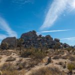 67812现场开奖最新结果查询与开奖详情公布 f37n0al