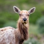 澳门威尼斯人酒店:体验世界级服务与设施的完美之地 hvuhy0