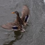 6加2开奖结果最新公布,惊喜大奖花落谁家 tpc4c7ra