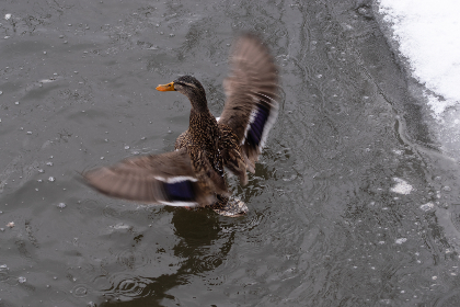 6加2开奖结果最新公布,惊喜大奖花落谁家 6加2开奖结果最新公布,惊喜大奖花落谁家