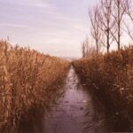 NBA勇士vs热火巅峰对决直播,见证库里与巴特勒的强强对话 jiz8juslw