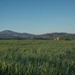 NBA全程视频直播:精彩赛事不容错过,即刻锁定观看! r8j3qhes