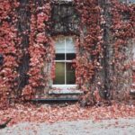 NBA名人堂颁奖典礼全程直播,见证传奇荣耀时刻 zcbs68s